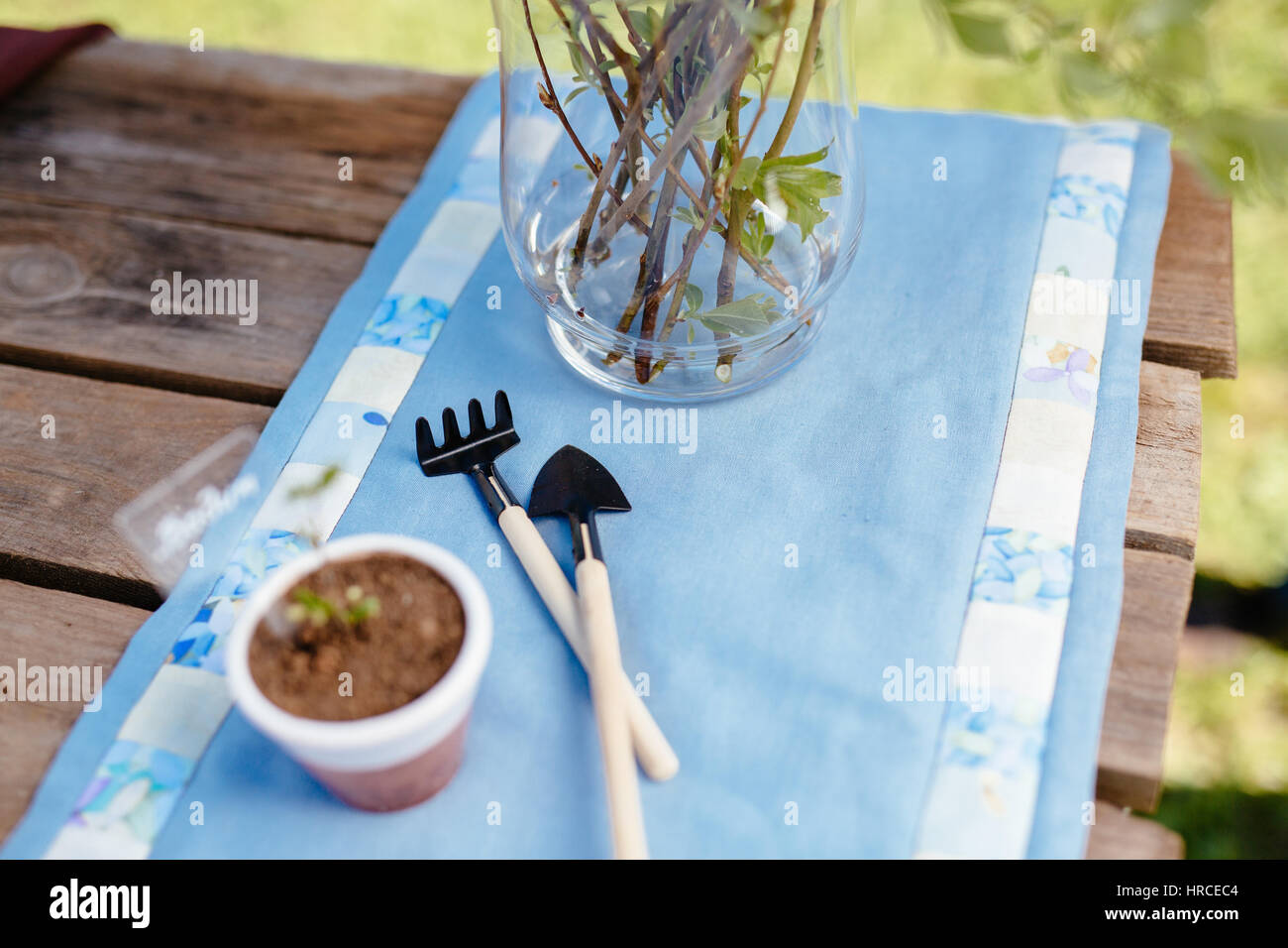 Attrezzi per giardinaggio, annaffiatoio, semi, piante e suolo su vintage tavolo in legno. In primavera il concetto di giardino. Foto Stock