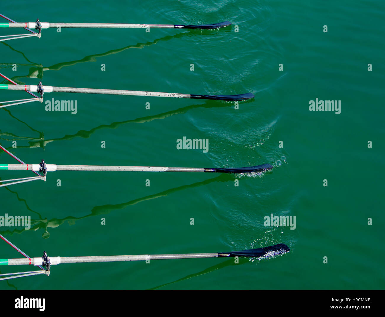 Close up remi di teschi quadrupla rowing team race Foto Stock