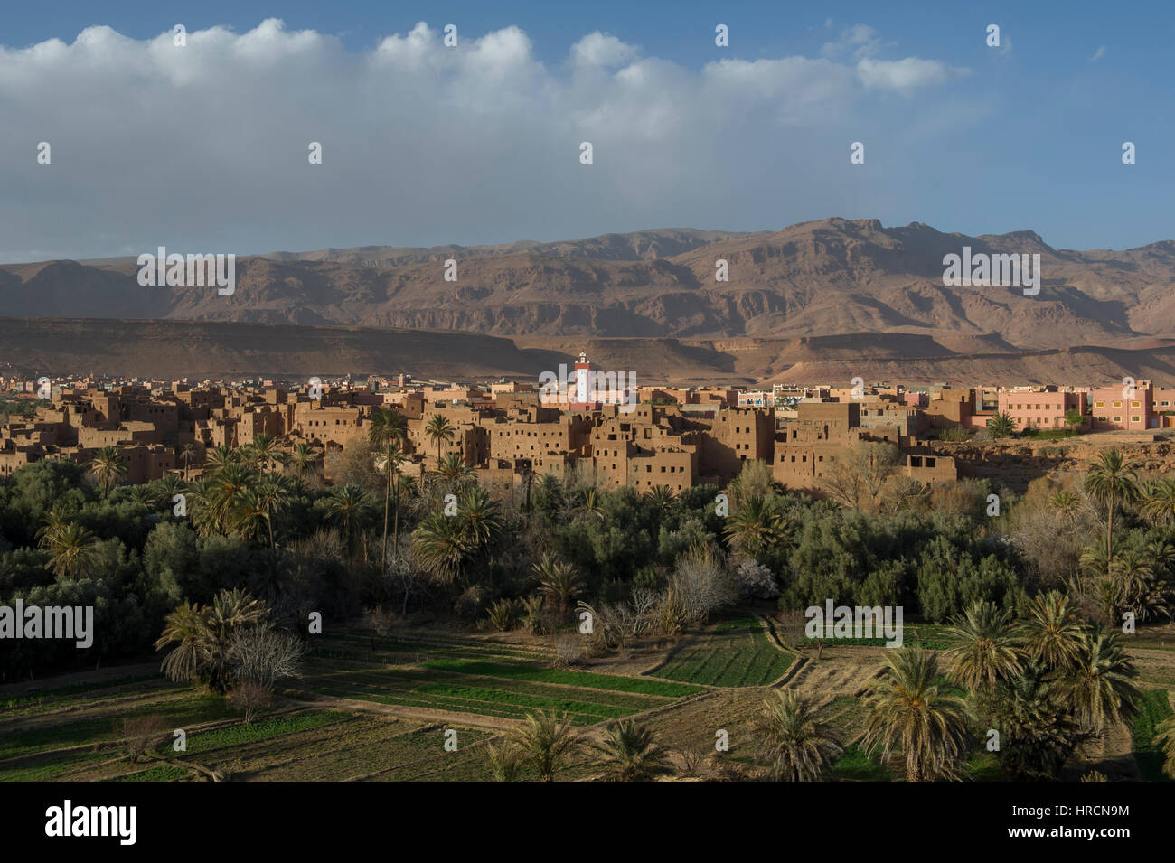 L'oasi cittadina di Tinghir ai piedi dell'Alto Atlante in Marocco Foto Stock