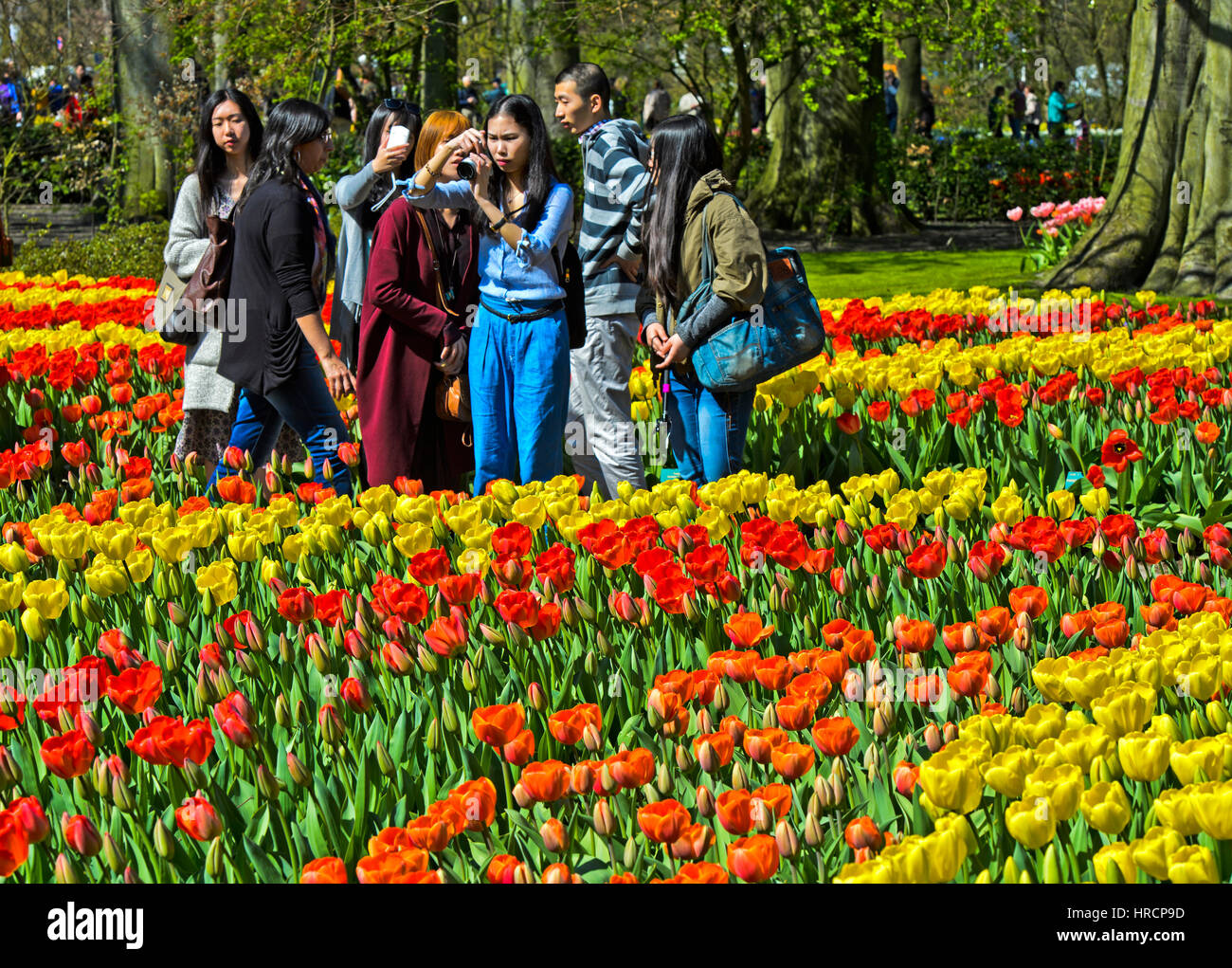 I turisti provenienti da Asia di scattare le foto della fioritura tulipani a Keukenhof giardini di fiori Lisse, Paesi Bassi Foto Stock