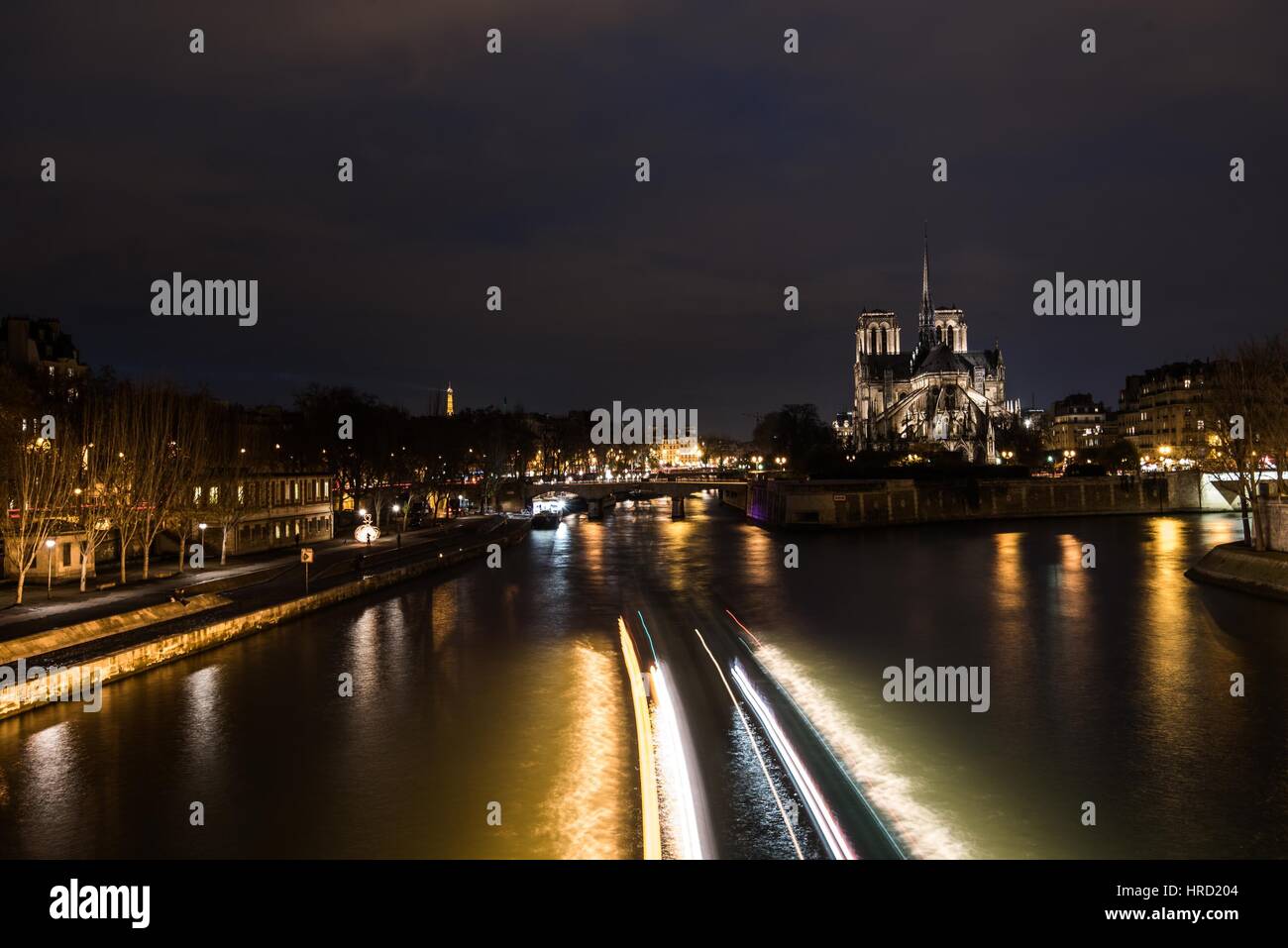 Cattedrale di Notre Dame di Parigi Foto Stock