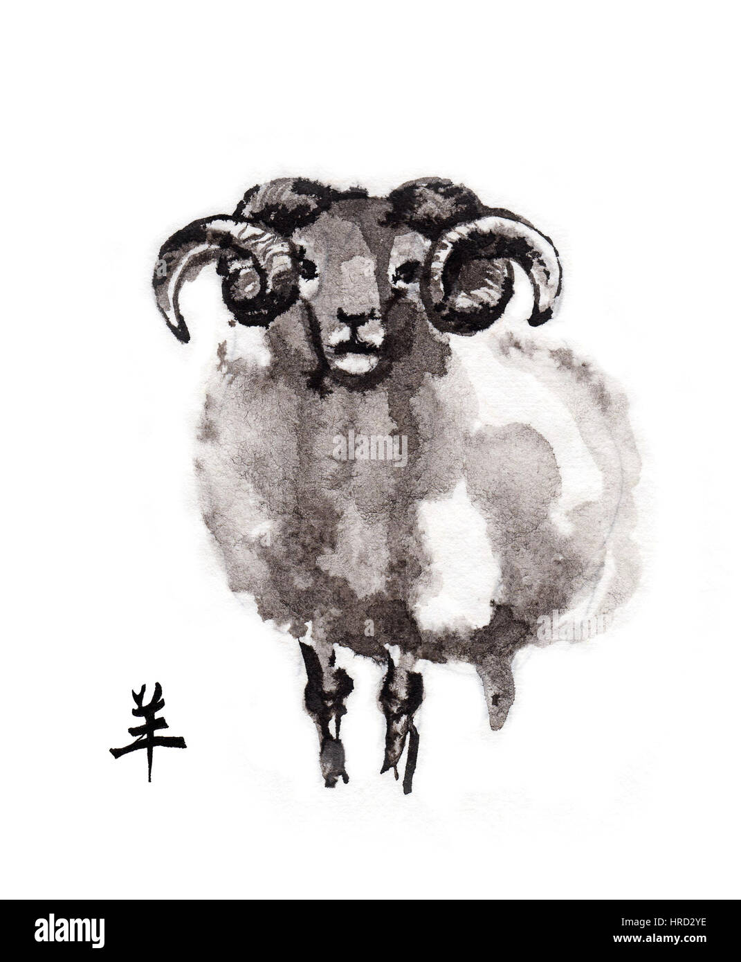 Ram frontale permanente, inchiostro orientali pittura cinese con hieroglyph "capra". Simbolo del nuovo anno di capra, pecora. Foto Stock