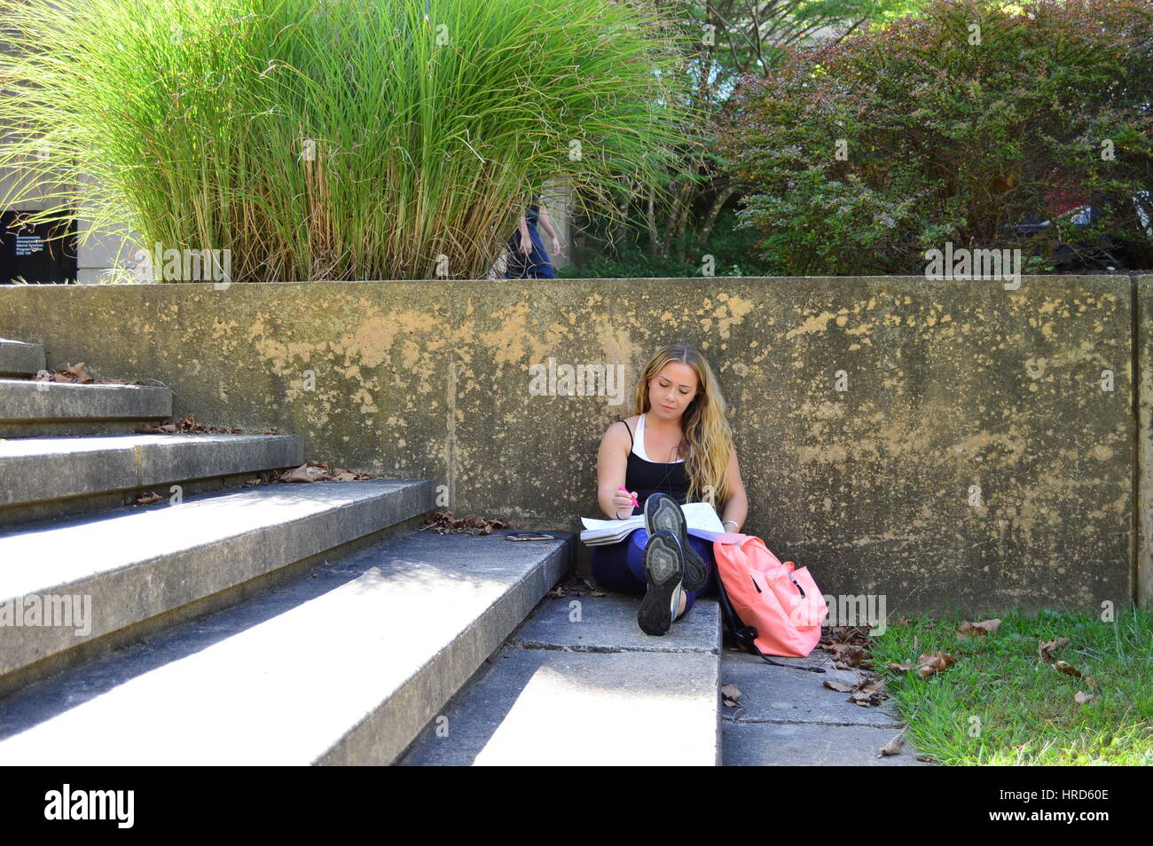 Ragazza studiando sulle fasi. Foto Stock