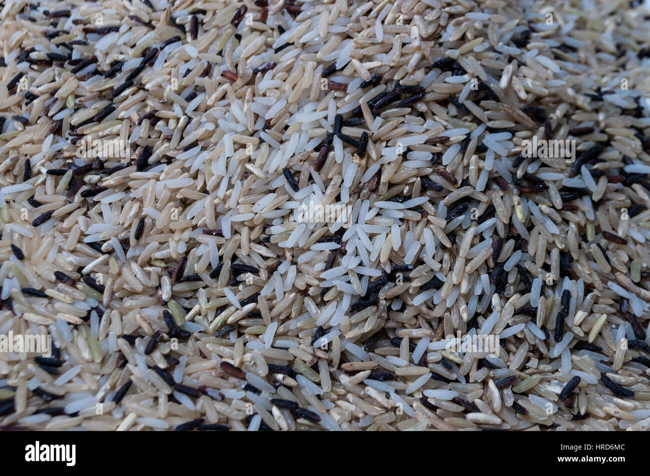 Multi chicco di riso miscelato per mangiare sano. Il riso grezzo consiste principalmente di brown di riso al gelsomino, nero riceberry riso e qualche bianco di riso al gelsomino per una migliore Foto Stock