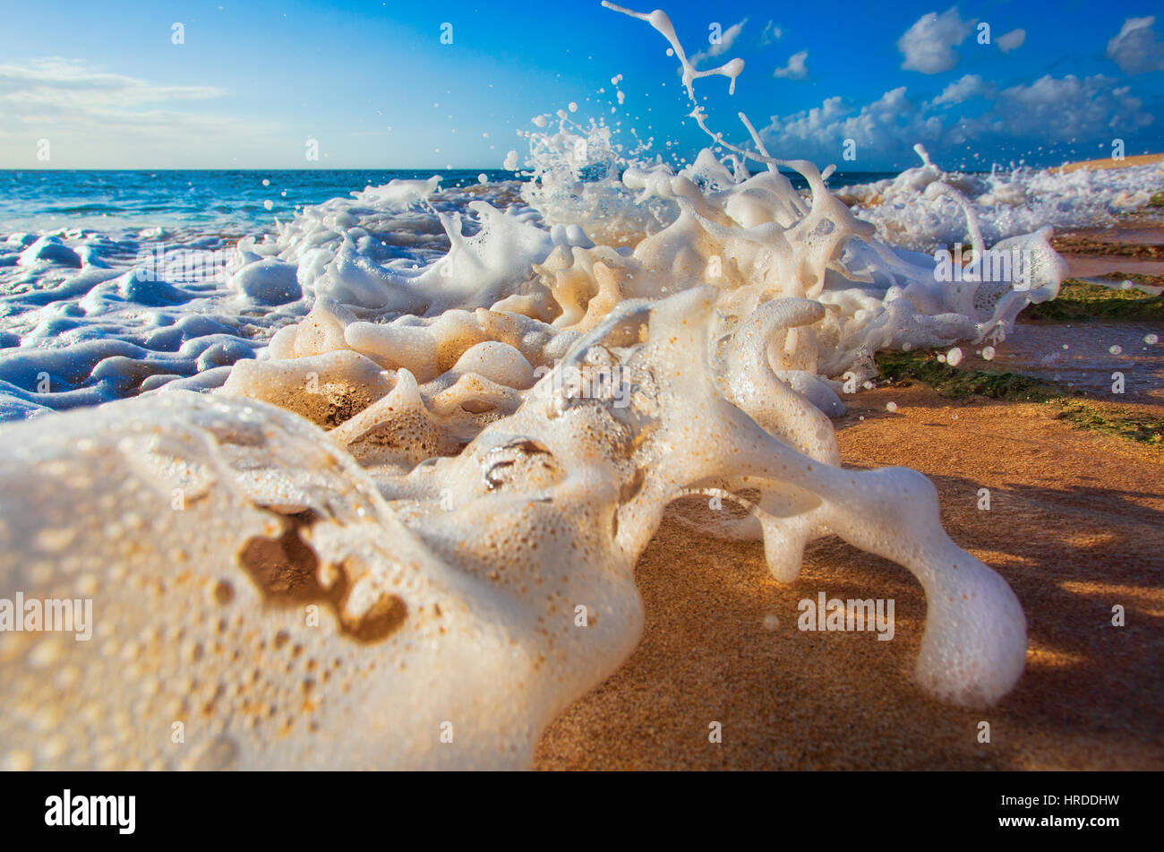 Sabbia di spruzzi di schiuma su una spiaggia hawaiana Foto Stock