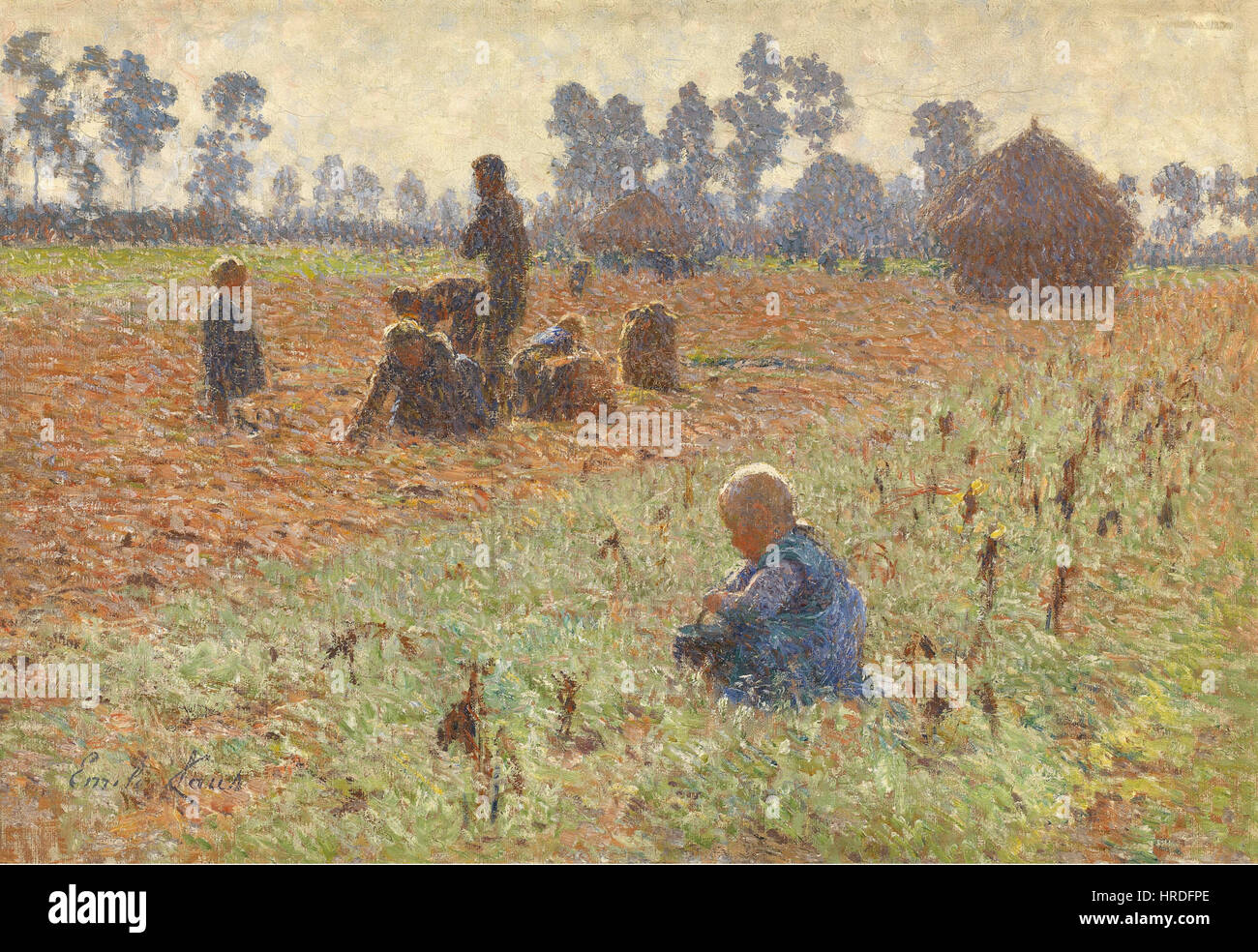 Raccolta del grano, un dipinto a olio su tela del 1894 di Emile Claus, un artista belga, misura 38,5 x 55,8 cm. Foto Stock