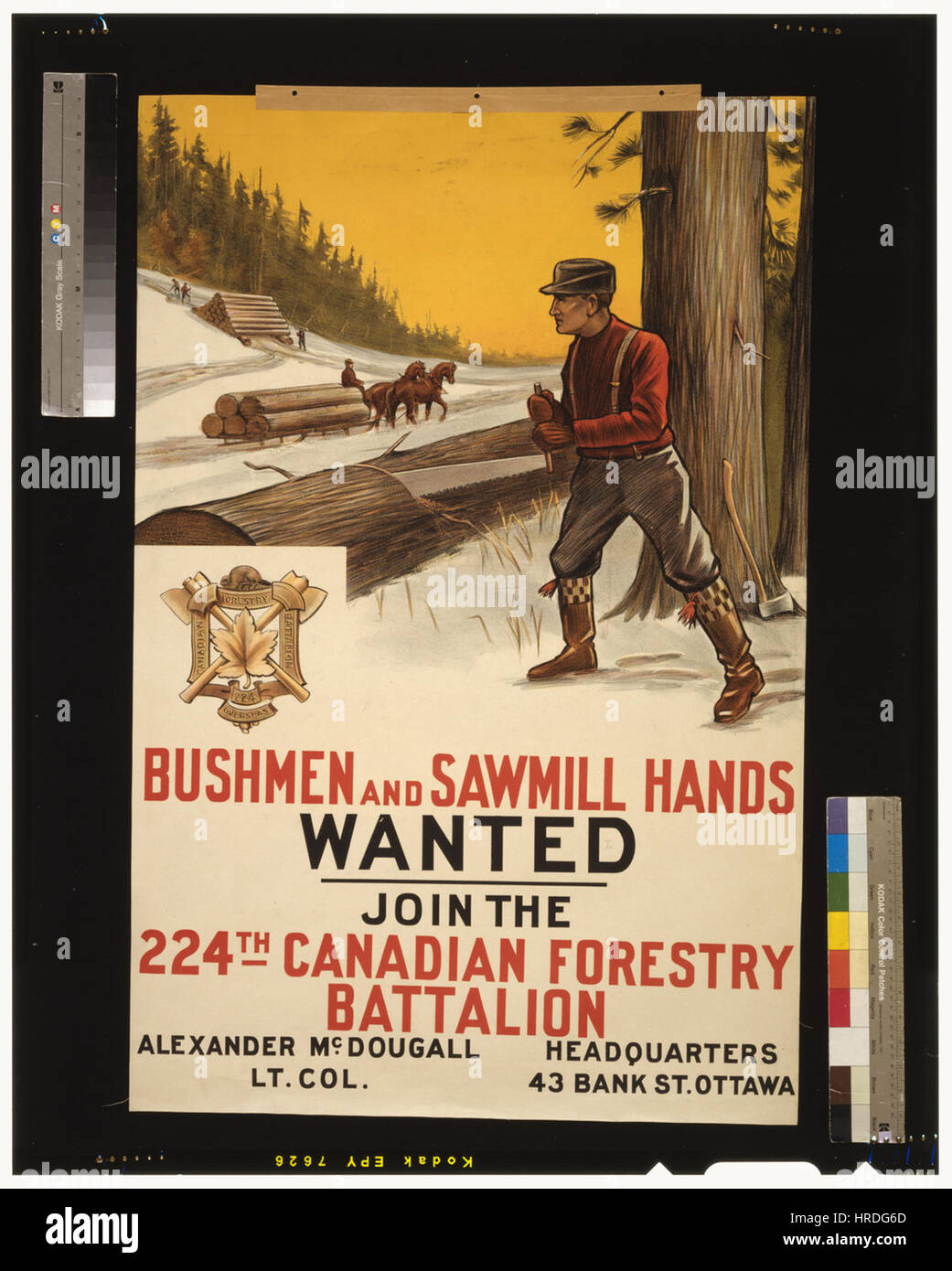 I Boscimani e segheria mani voluto. Unisciti alla 224th canadese battaglione forestale WDL282 Foto Stock