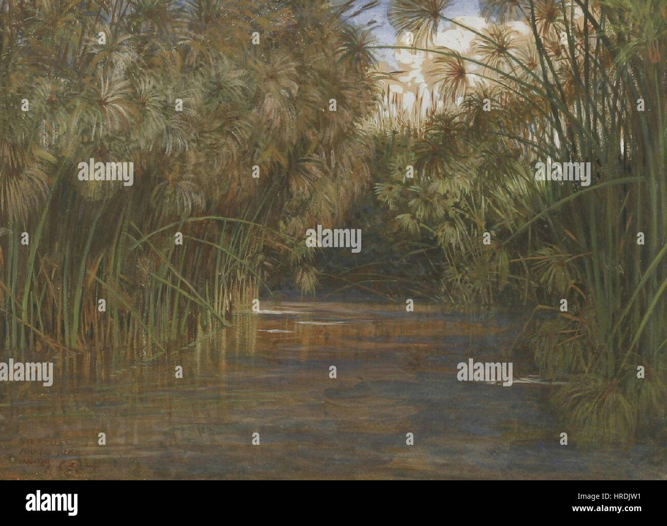 Walter T. Crane - Siracusa, Fiume Anapo (1904) Foto Stock