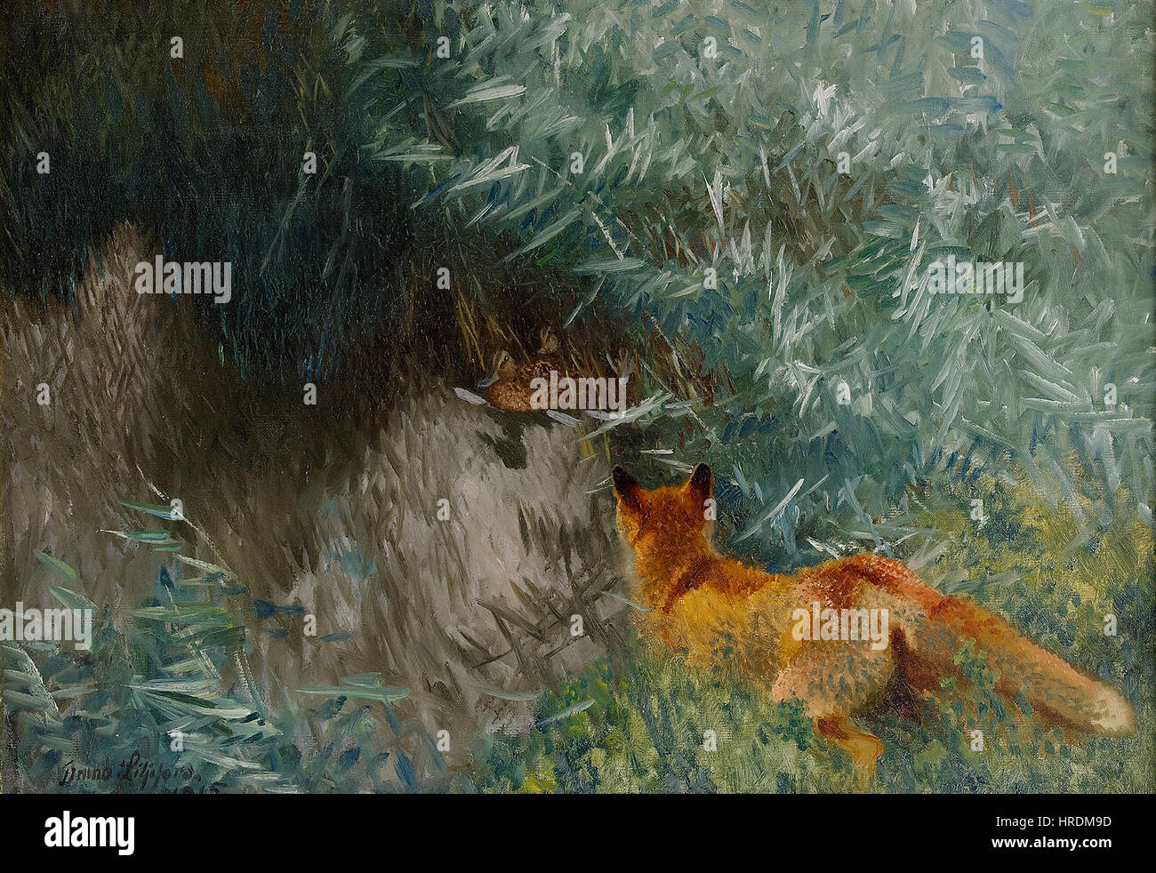 Bruno Liljefors - Stalking fox 1915 Foto Stock
