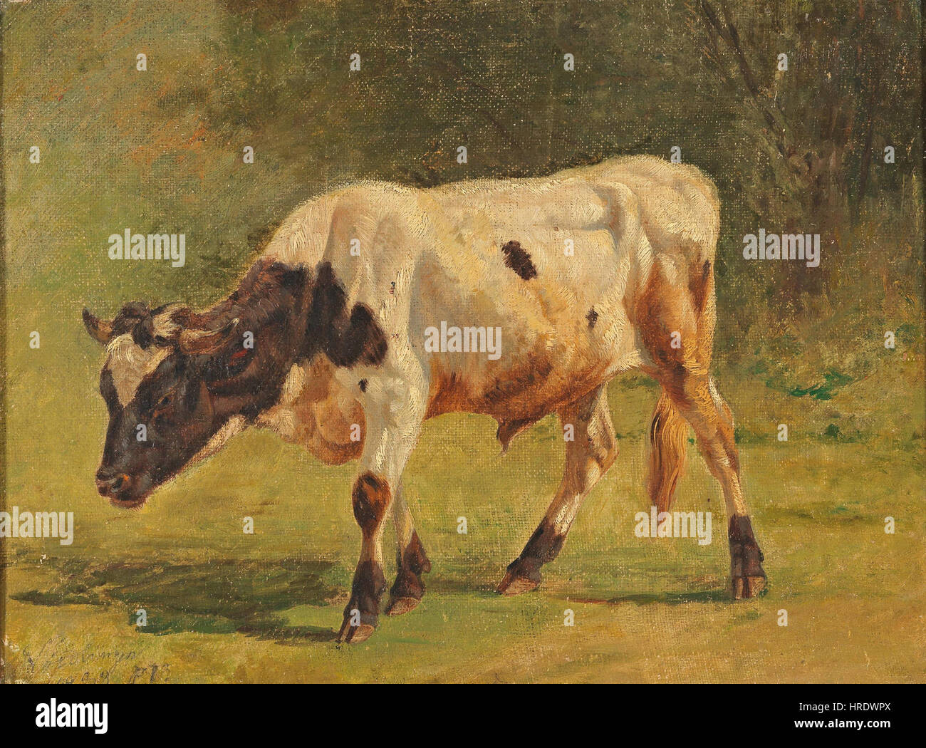 Friedrich Voltz, un artista del XIX secolo, dipinse Stier, un'opera a olio su tela, monogrammata e datata 1838. Foto Stock