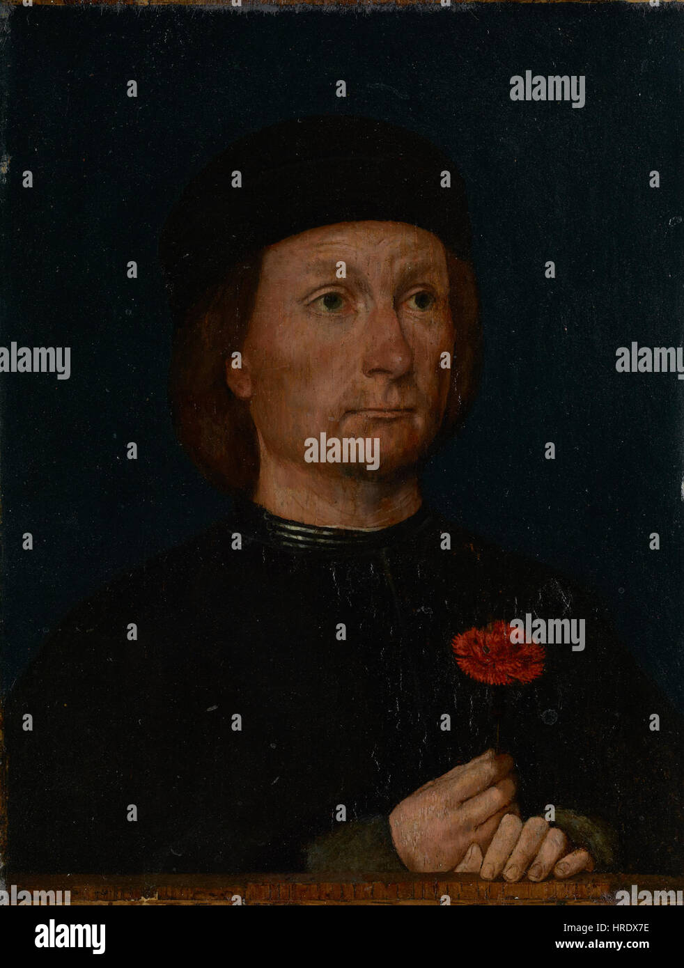 Michael Sittow - Ritratto di un uomo con una rosa - 69.PB.9 - J. Paul Getty Museum Foto Stock