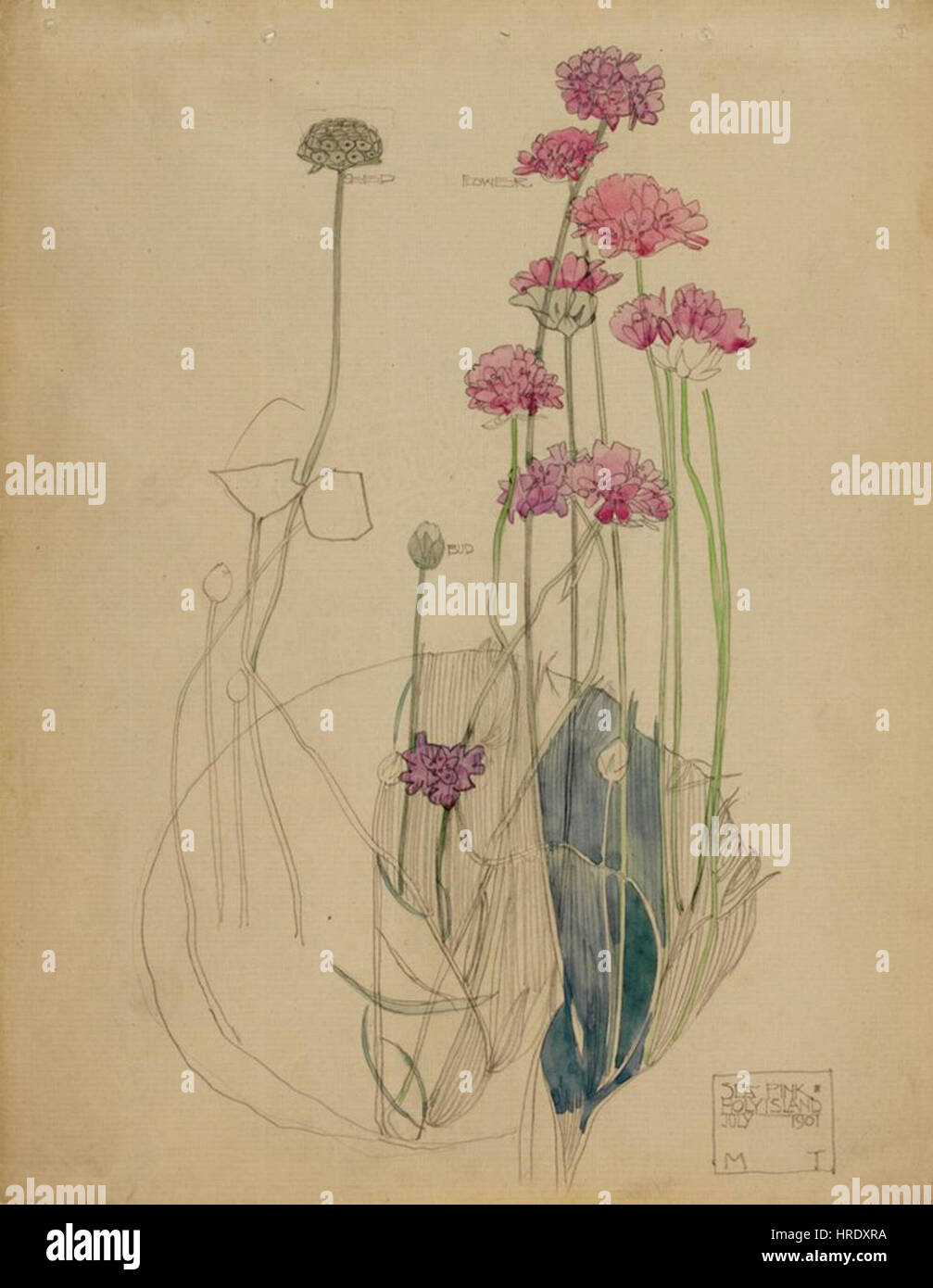 "Sea Pink - Holy Island" di Charles Rennie Mackintosh, creato nel 1901, esemplifica il suo caratteristico stile Art Nouveau. Il pezzo presenta delicati motivi floreali intrecciati con graziose curve, caratteristiche dell'innovativo approccio di Mackintosh al design. Foto Stock