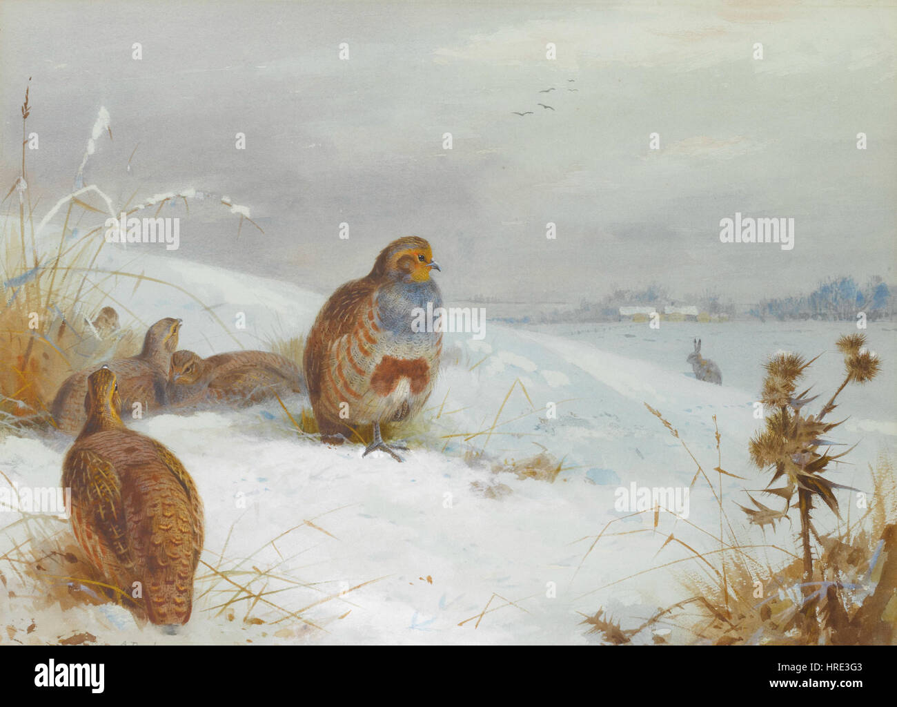 "Hard Times" di Archibald Thorburn (1892) raffigura pernici e una lepre in un paesaggio aspro e ventoso. Il dipinto riflette l'abilità di Thorburn nel catturare la fauna selvatica e gli ambienti naturali con particolare attenzione al realismo e ai dettagli nella rappresentazione degli animali nel loro ambiente. Foto Stock