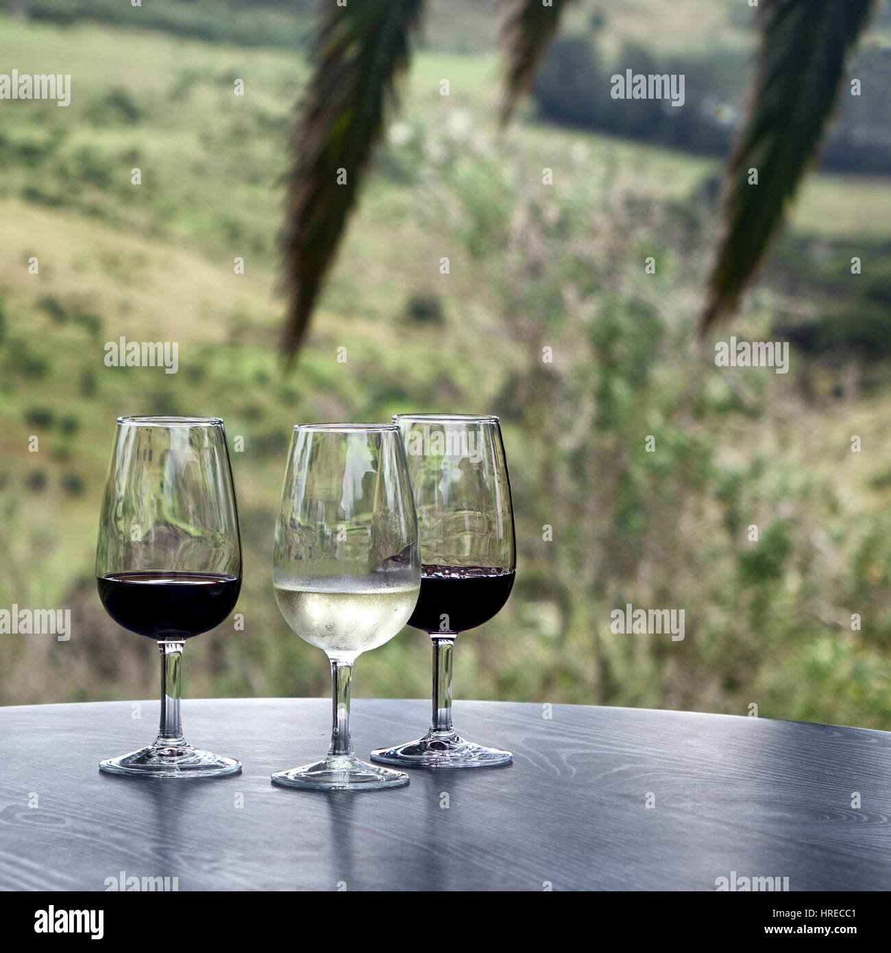 Vino rosso e bianco in bicchieri sul tavolo scuro esterno con palme tropicali a rami di alberi in background Foto Stock