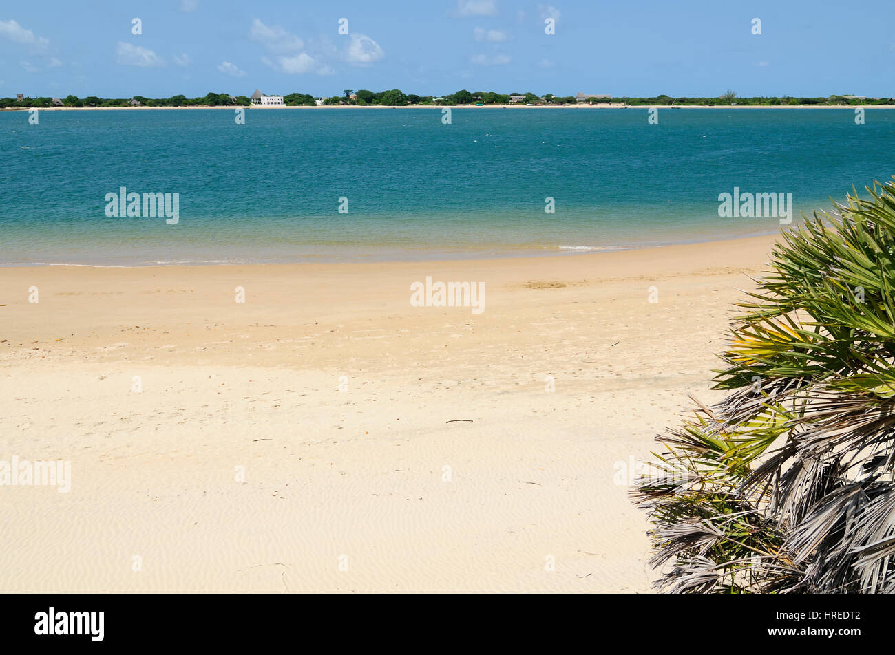 Kenya, bella spiaggia di sabbia su Lamu archipelag Foto Stock