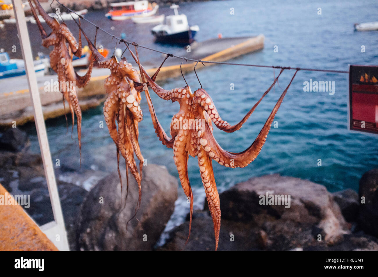 Il polpo di essiccazione al sole a Santorini, Grecia. Foto Stock