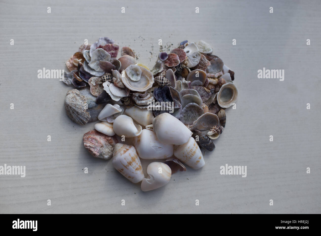 Conchiglie in forma di cuore Foto Stock