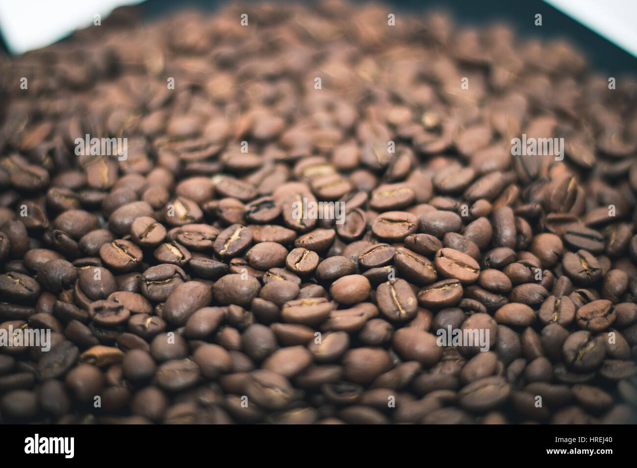 I chicchi di caffè posa piatto che copre tutto lo schermo Foto Stock