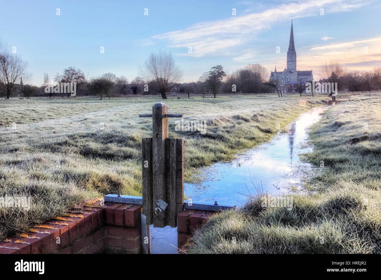 La Cattedrale di Salisbury, Salisbury, Wiltshire, Inghilterra, Regno Unito Foto Stock