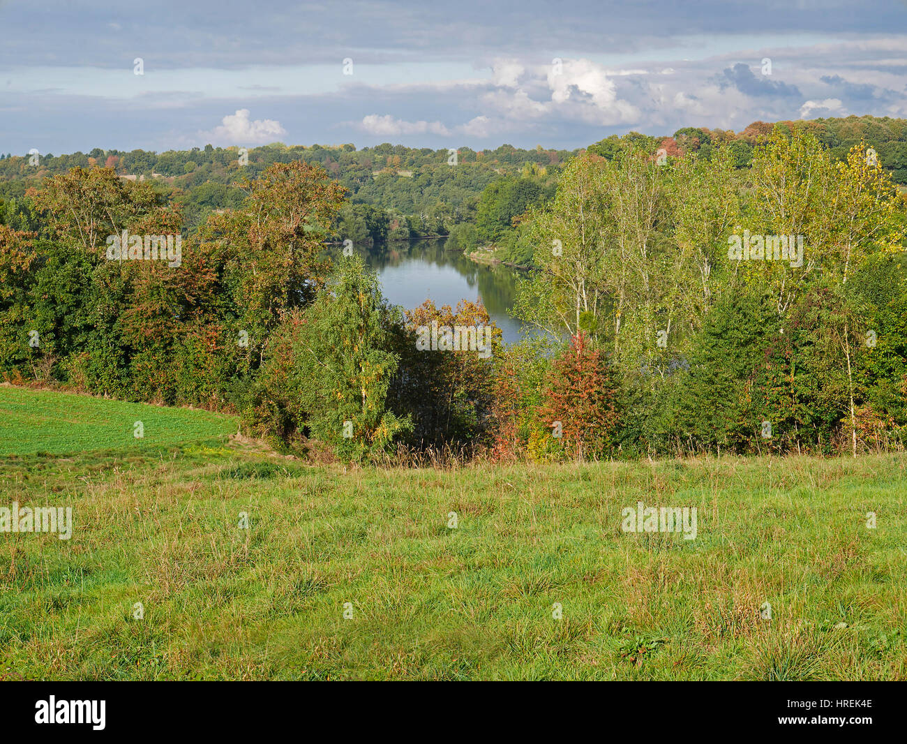 Paesaggio boscoso (pioppi, querce ...) in autunno con un fiume, la Mayenne (Nord Mayenne, Pays de la Loire, in Francia, in Europa). Foto Stock