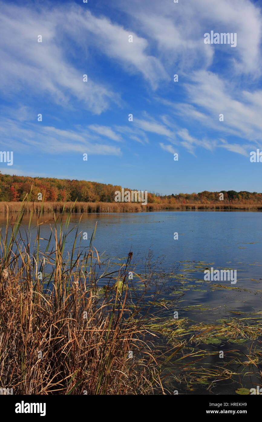 Oka National Park, Quebec, Canada, Ottobre 2016 Foto Stock