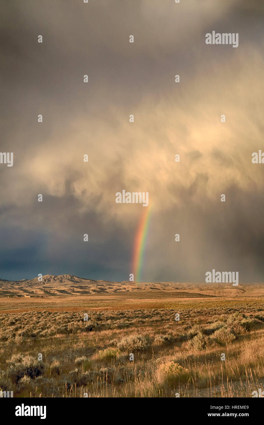 Questo paesaggio foto mostra un doppio arcobaleno contro un tempestoso cielo grigio sopra il Flaming Gorge National Recreation Area in Wyoming. Bear fiume è visto. Foto Stock