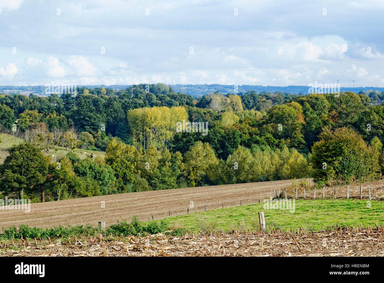 Paesaggio boscoso, in autunno, valle di Varenneriver (Nord Mayenne, Paese della Loira, Francia). Foto Stock
