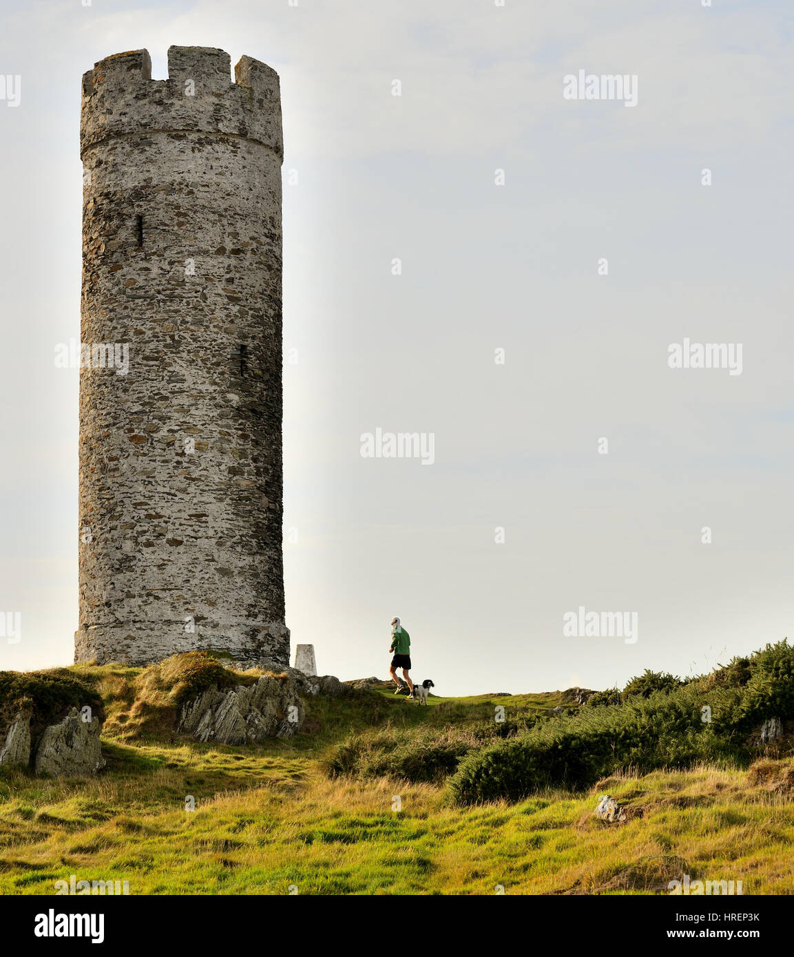 Torre di aringa a Langness, Isola di Man. Esecuzione di uomo e cane. Spazio per la copia Foto Stock