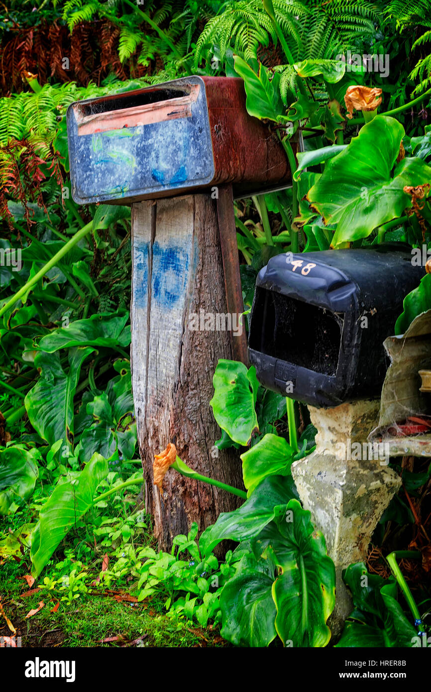 cassette delle lettere Foto Stock