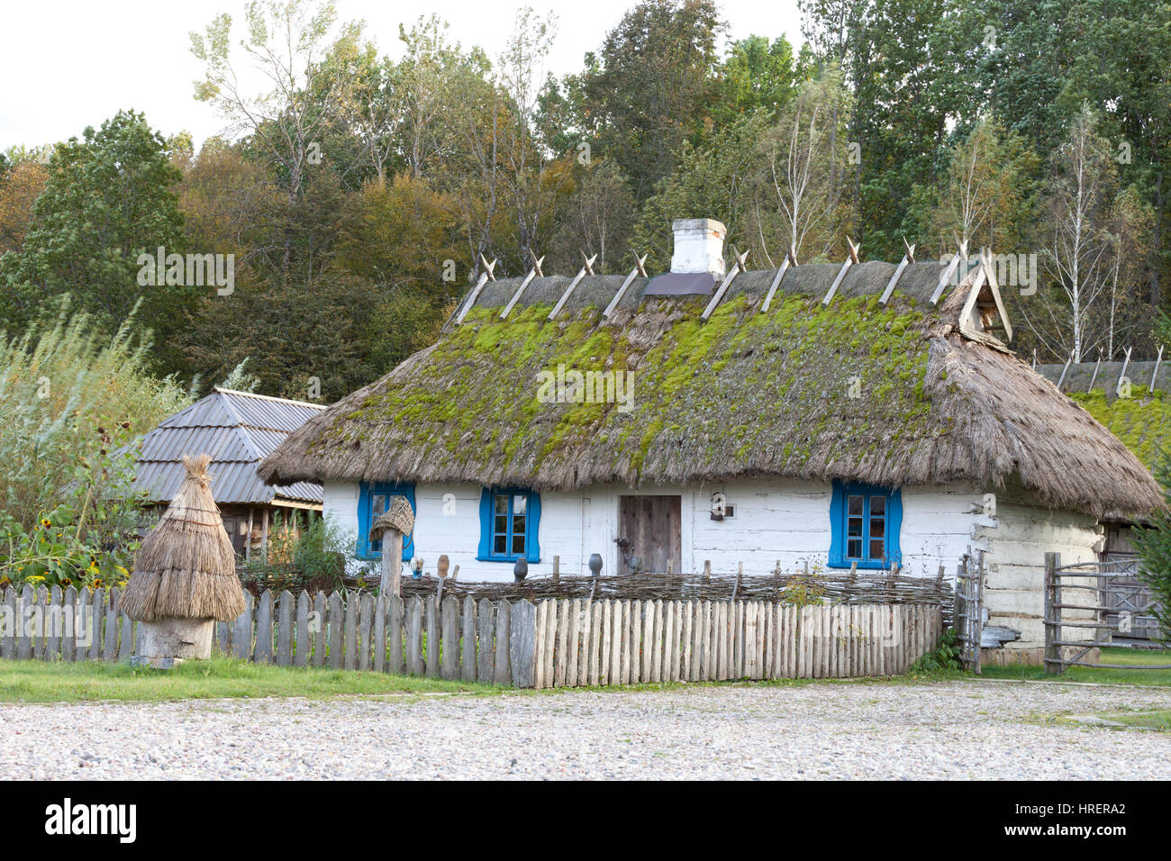 Vecchio rustico casa in legno con tetto di paglia in un villaggio rurale vicino al bosco Foto Stock