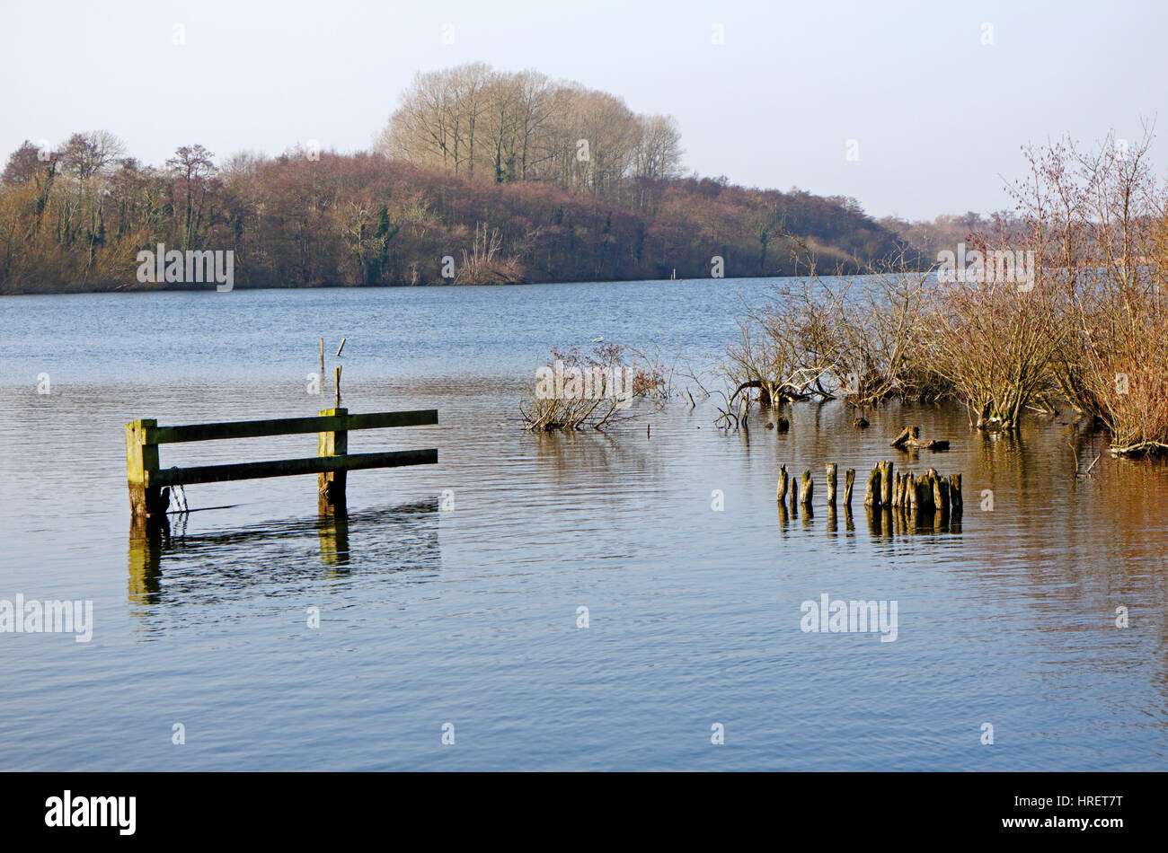 Un angolo di Ranworth vasta Riserva naturale su Norfolk Broads a Ranworth, Norfolk, Inghilterra, Regno Unito. Foto Stock