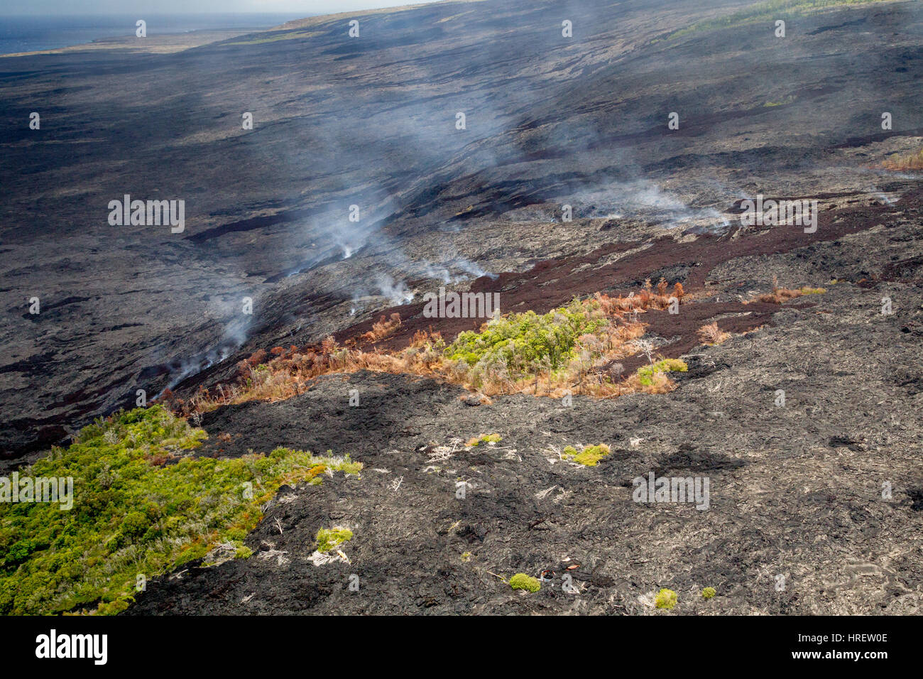 Riprese aeree dei supporti rimanenti della foresta tra freschi i flussi di lava e le emissioni di fumi vulcanici sulle pendici del vulcano attivo il Kilauea su grandi Foto Stock