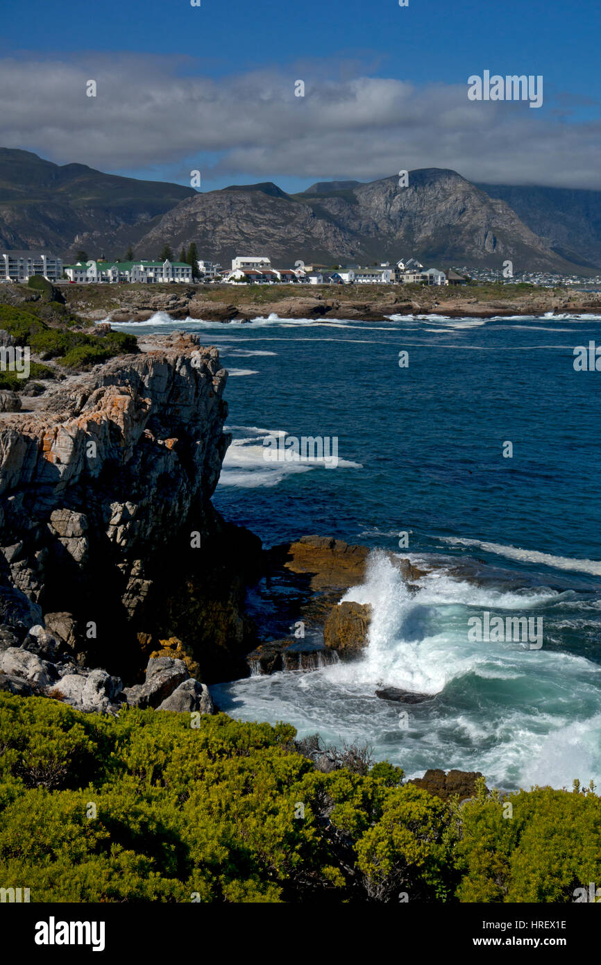 Hermanus scogliere e bay, costa atlantica, Sud Africa Foto Stock