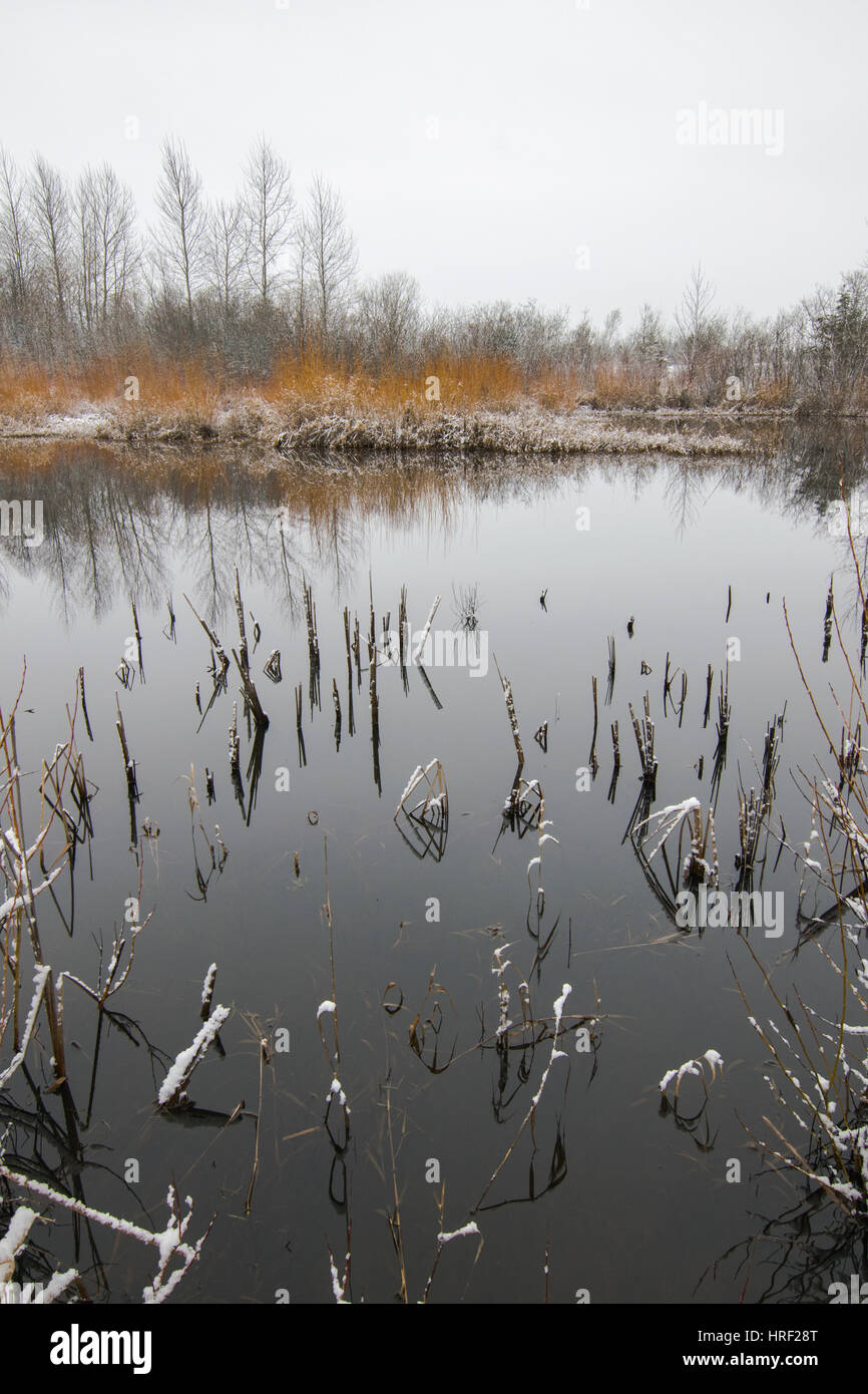 Snohomish, Washington Foto Stock