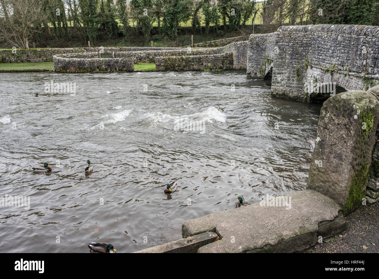 Ponte Sheepwash e washfold penne a Ashford in acqua, picco bianco, Derbyshire Foto Stock
