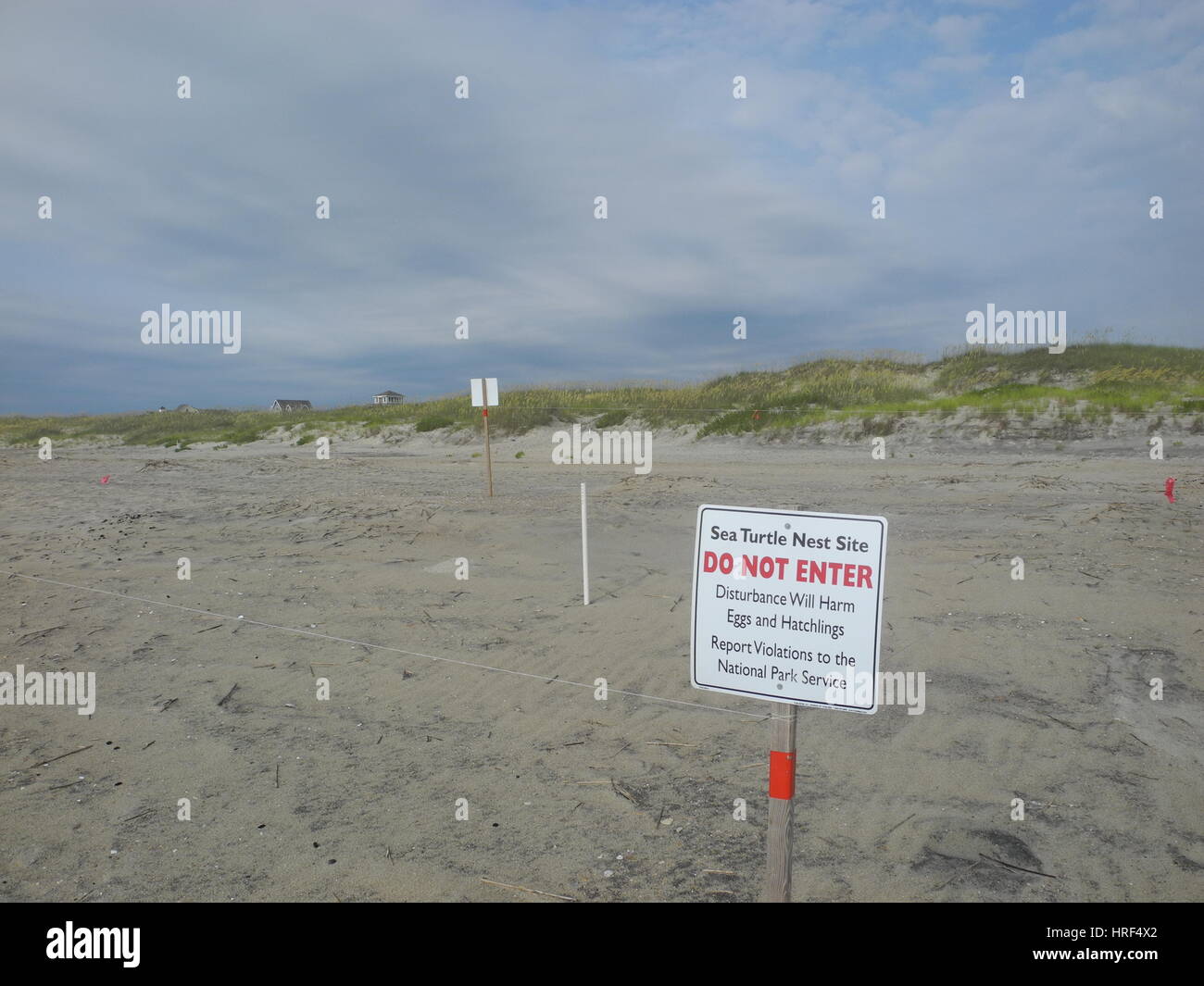 Area protetta per la nidificazione di deposizione delle uova delle tartarughe di mare, Outer Banks, Carolina del Nord Foto Stock