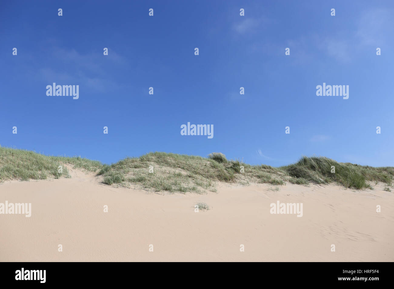 Dune presso la Dutch costa del Mare del Nord Foto Stock