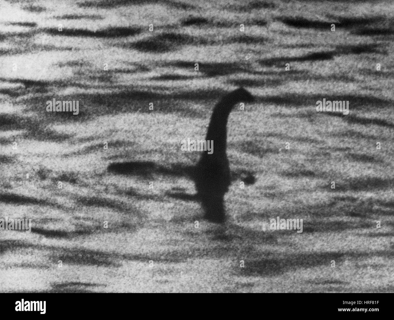 Mostro di Loch Ness Foto Stock