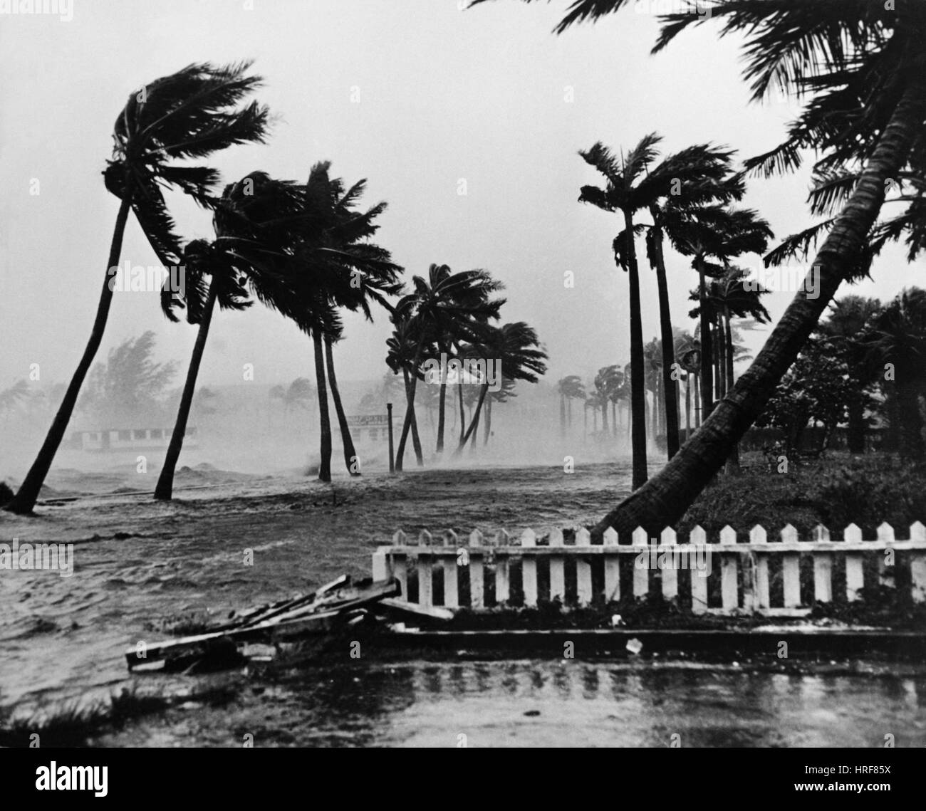 Uragano in Palm Beach Foto Stock