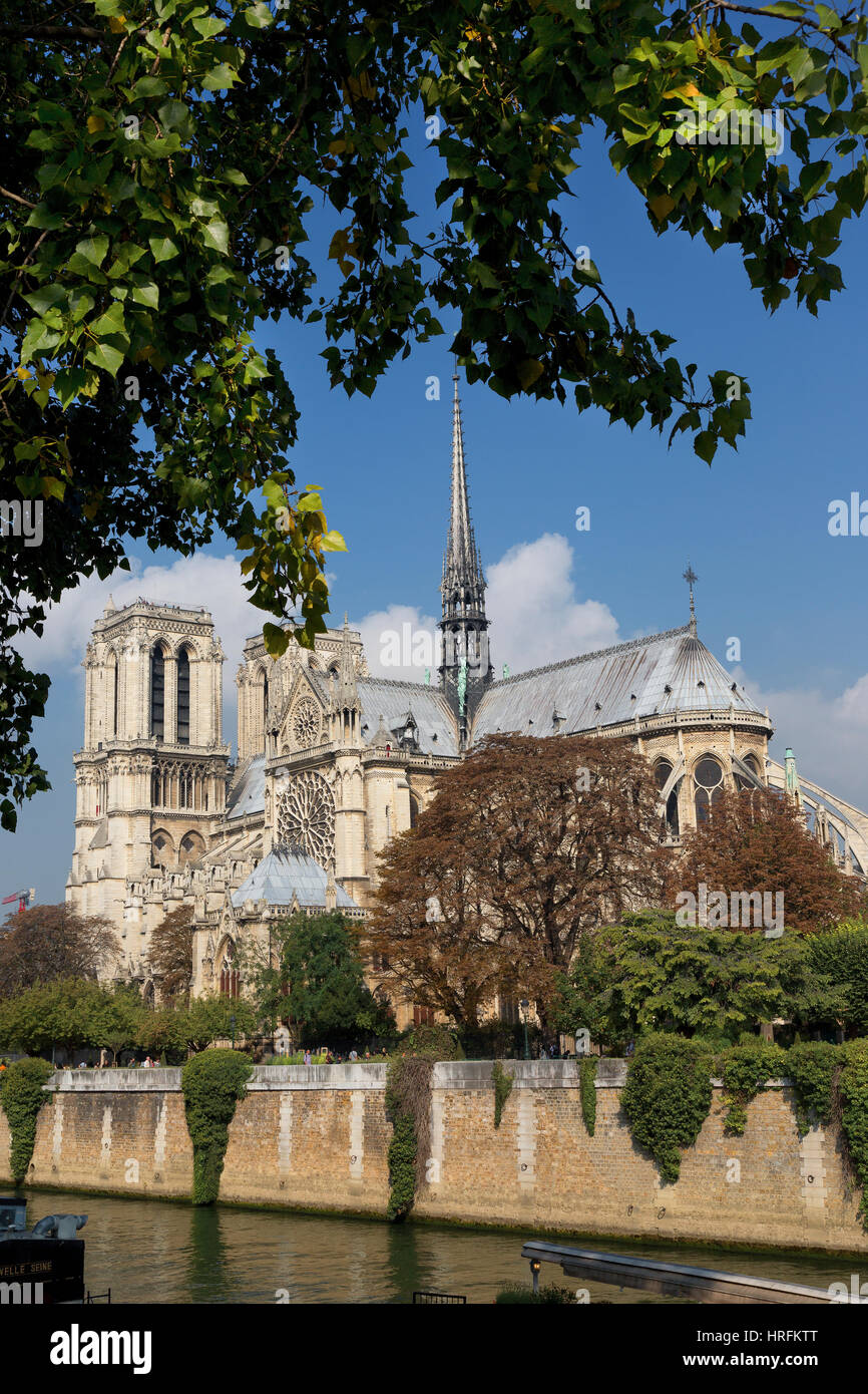La cattedrale di Notre Dame, l'Ile de Città, Parigi, Francia Foto Stock
