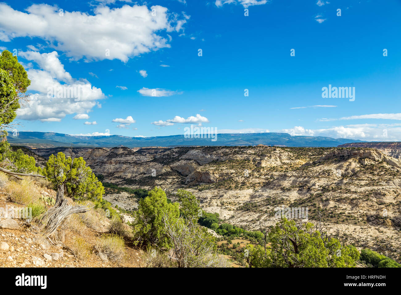 A partire da un tratto di itinerario panoramico 12 noto come 'l'Hogback,' alberata Boulder Creek meandri passato Durffey Mesa in grande scala - Escalante compit Foto Stock