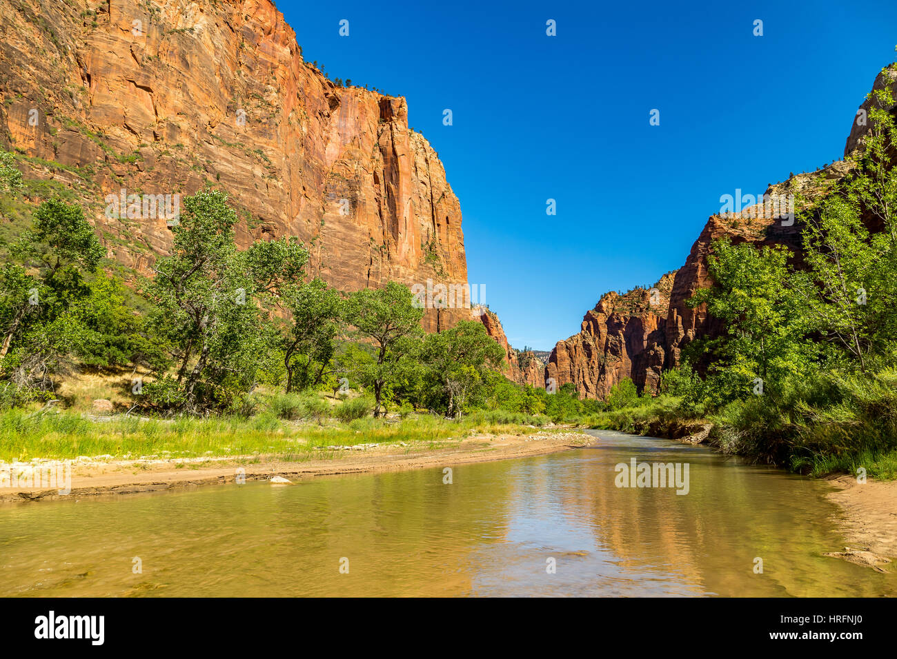 Parco Nazionale di Zion è un sud-ovest Utah Nature Preserve contraddistinto da Zion Canyon di ripide scogliere rosso. Zion Canyon Scenic Drive taglia attraverso il suo principale Foto Stock