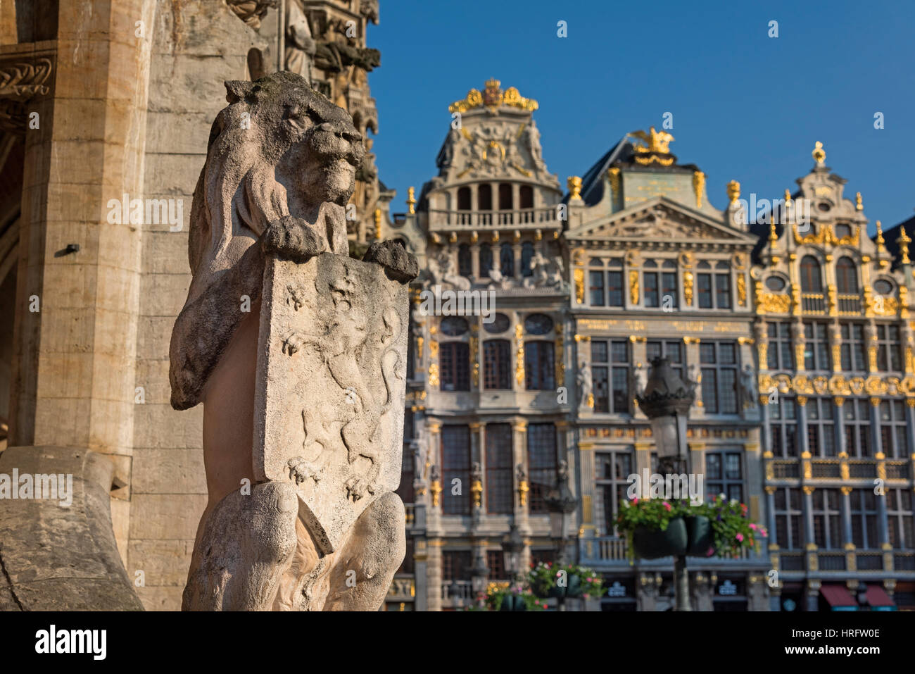 Grand Place Lion statua e Guildhouses Bruxelles Belgio Foto Stock