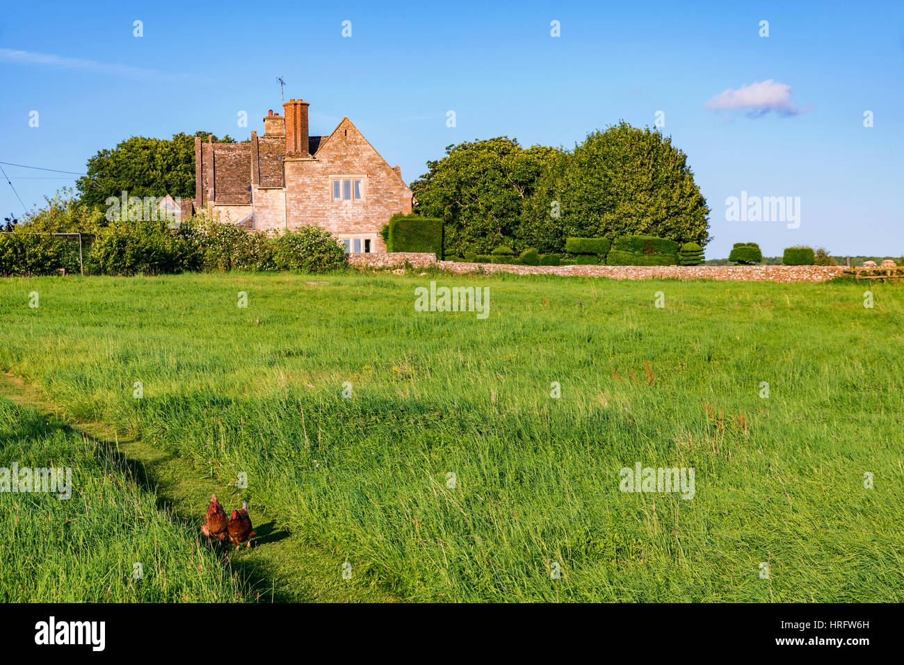 Una casa di campagna con i polli e cielo blu Foto Stock