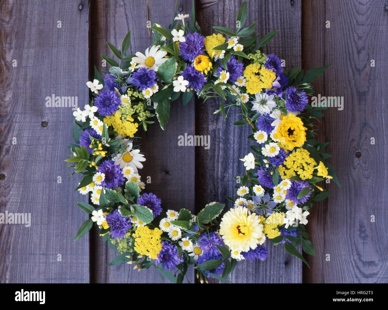 Una ghirlanda di giallo Le calendule, Achillea, Bianco Daisys, Matricale e Cornflowers Foto Stock