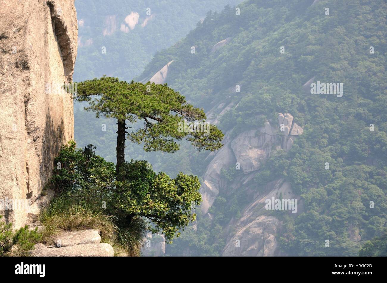 Cina. 1 Mar, 2017. Il Monte Jiuhua. Le quattro principali luoghi sacri del Buddismo in Cina sono il monte Wutai nello Shanxi, Monte Putuo nel Zhejiang, il monte Emei del Sichuan e il Monte Jiuhua in Anhui. Credito: SIPA Asia/ZUMA filo/Alamy Live News Foto Stock