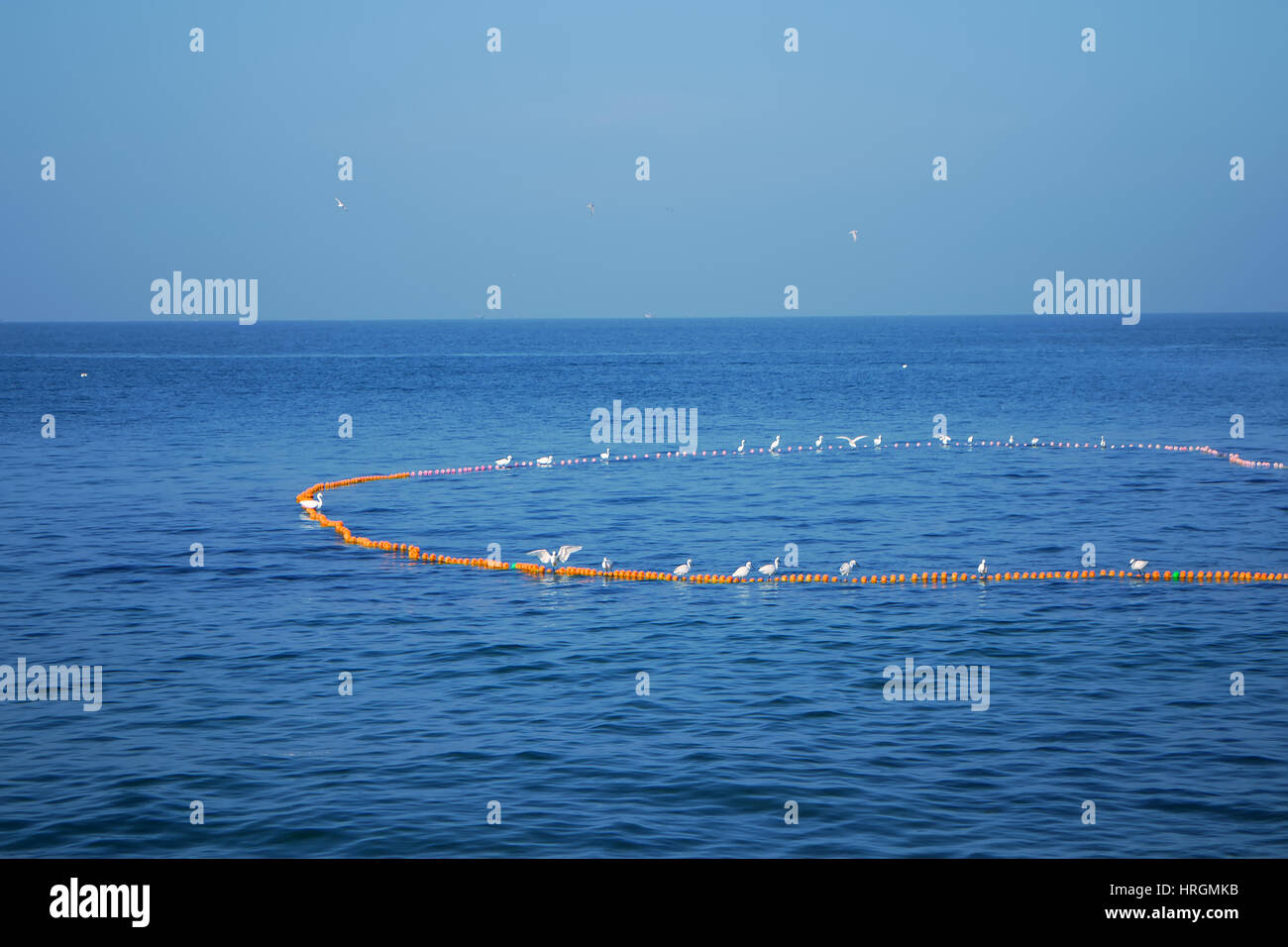 Relazione simbiotica: interazione della garzetta (Egretta garzetta) e i pescatori indiani 2 garzette non rilasciare i pesci fuori della Senna e ottenere Foto Stock