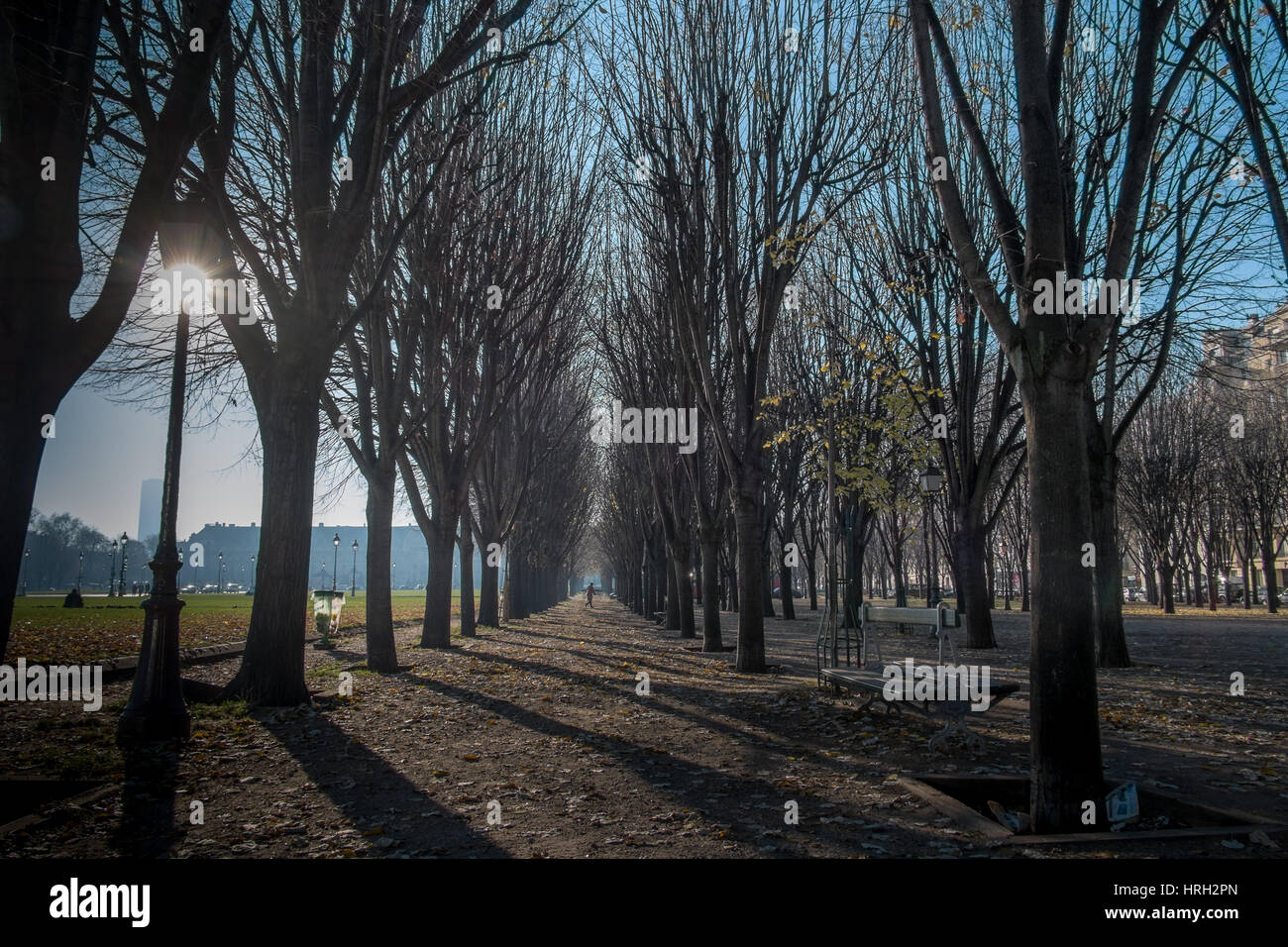 La mattina presto sole proietta ombre attraverso gli alberi sul lato dell'Esplanade des Invalides, Parigi, Francia Foto Stock