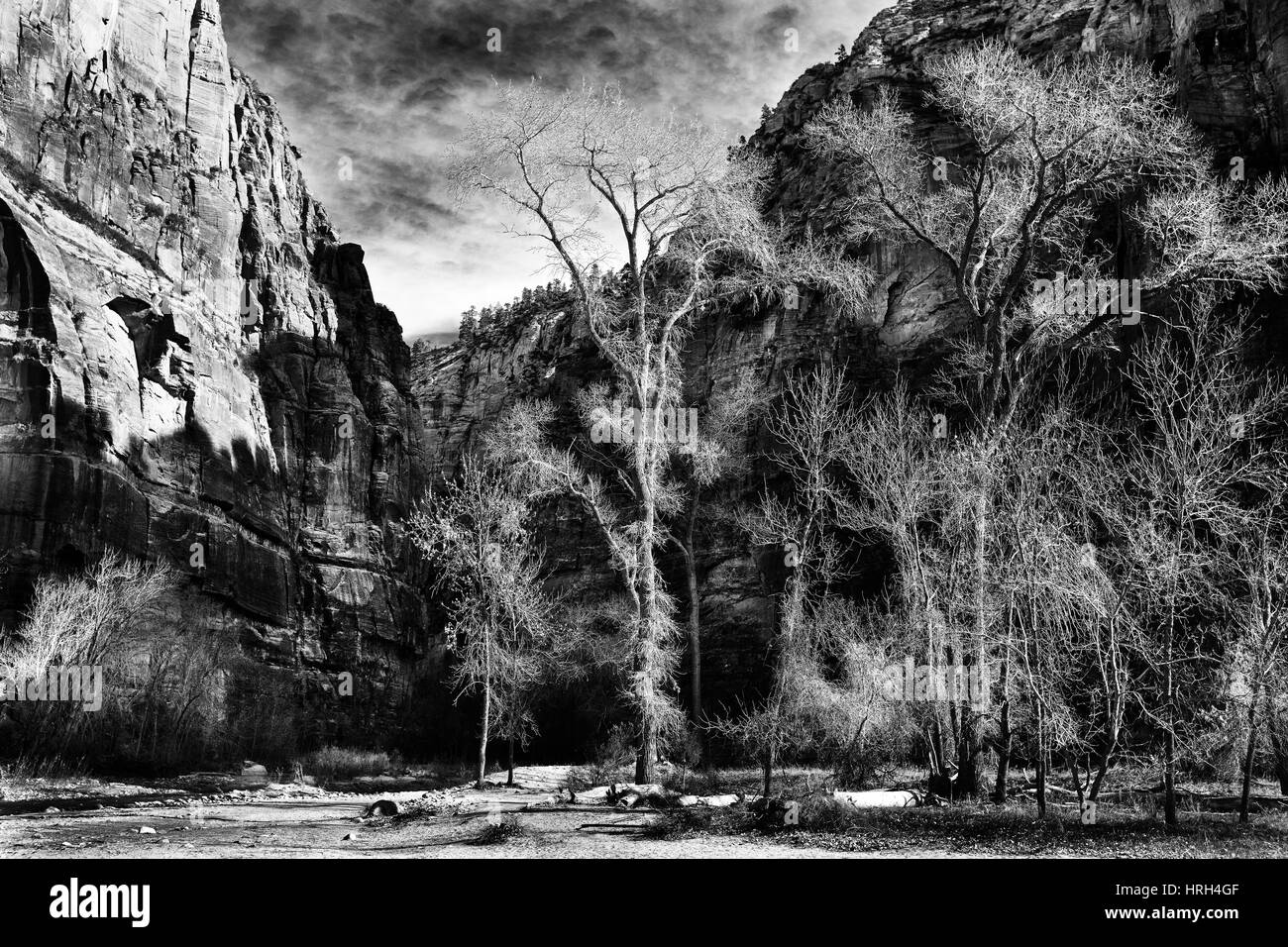Parco Nazionale di Zion,Utah, Stati Uniti d'America Foto Stock