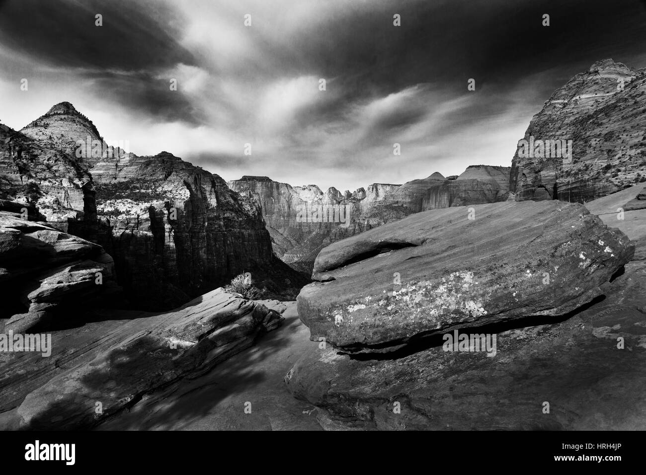 Parco Nazionale di Zion,Utah, Stati Uniti d'America Foto Stock